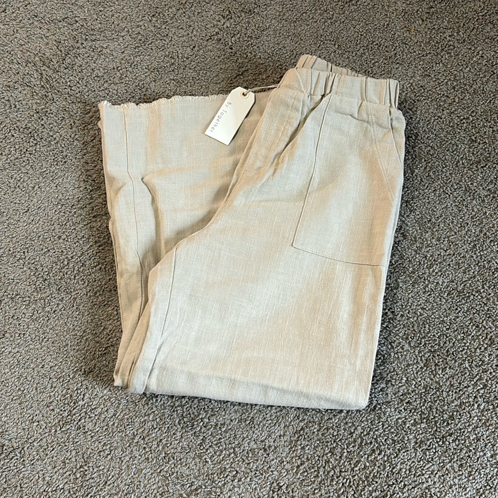 NWT Traveler Pants
